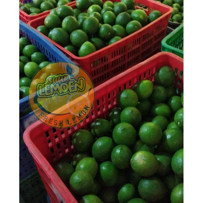 Jeruk Lemon California HIJAU 1/2 kg 500 gram by Suur Lemoen ID