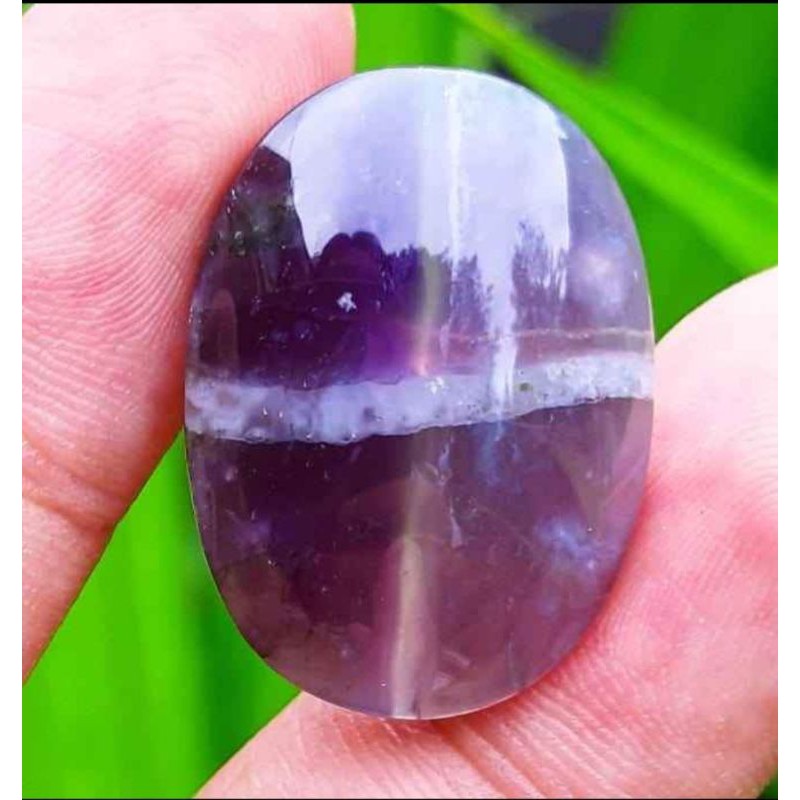 tapak jalak kristal ungu langka