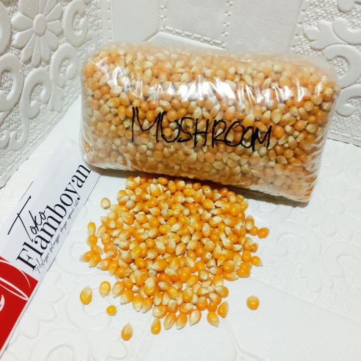 

COD✔️JAGUNG POPCORN MUSHROOM JUMBO 1KG|KD4