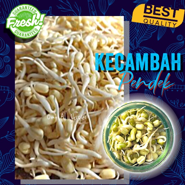 

KECAMBAH/ TAUGE PENDEK PER 100 GR