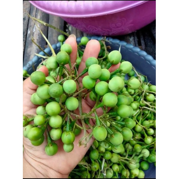

takokak 1 kg