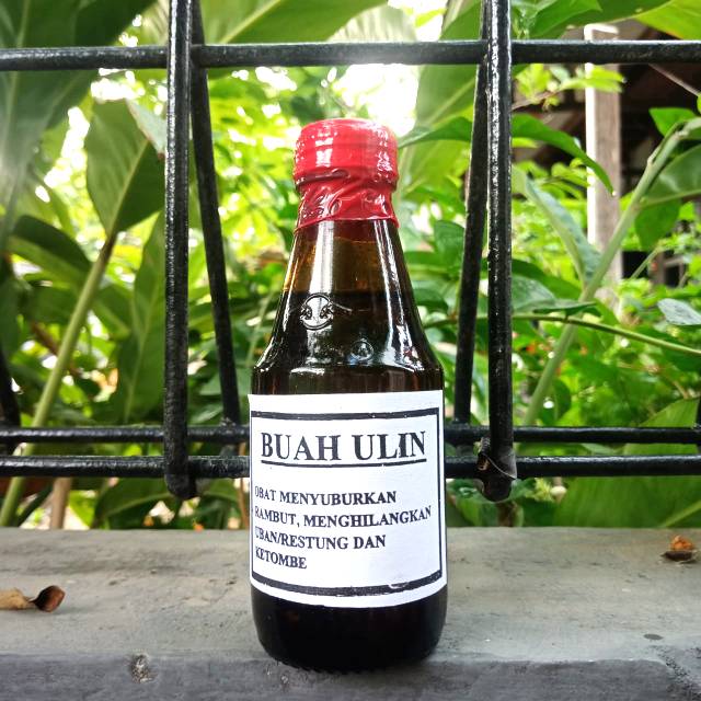 

BUAH ULIN