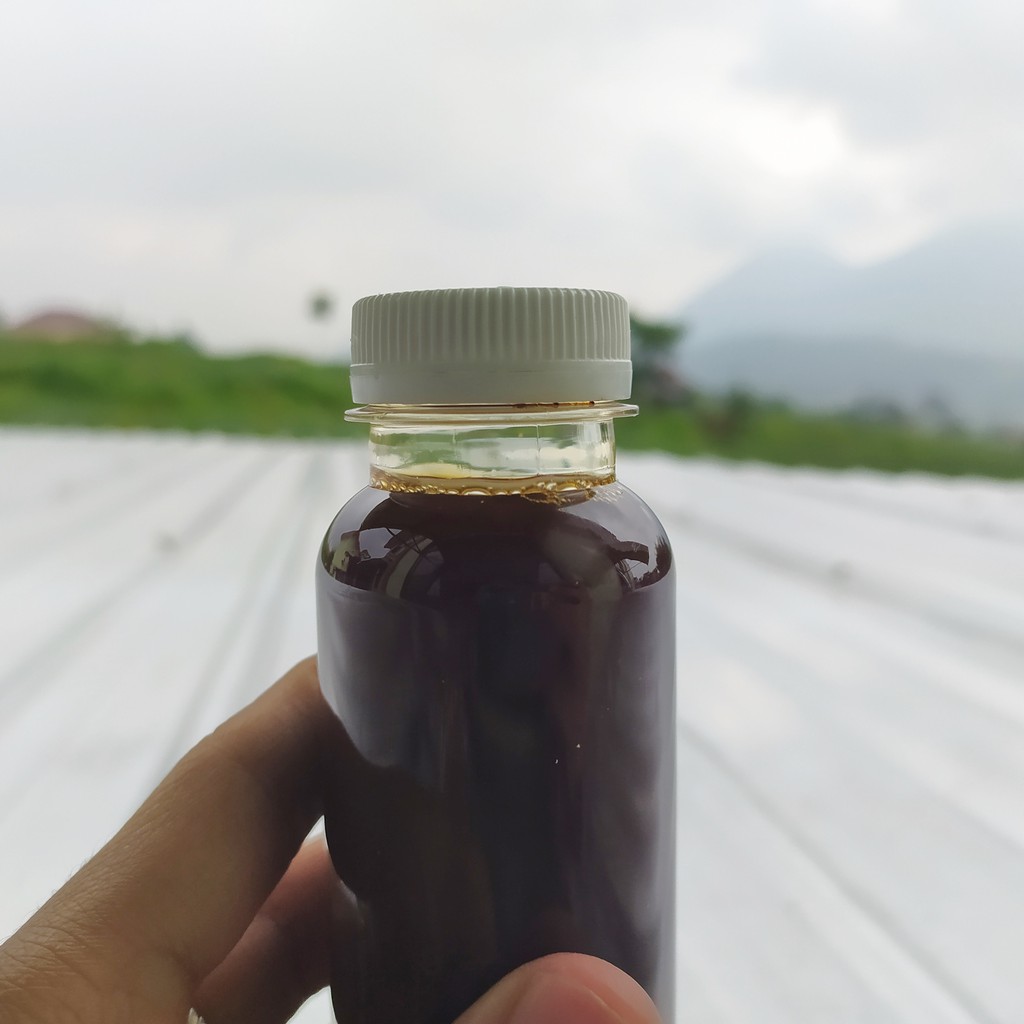 

Probiotik Sari Buah SB-19 (Pekat Non Label hitam pekat),B8( Manggis) by Biojanna 100% Original