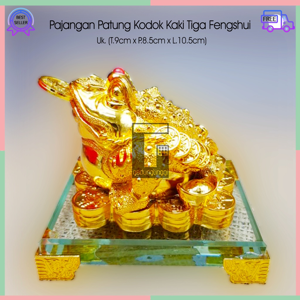 Patung Pajangan Hiasan Dekorasi Hadiah Kado Imlek Sincia Kodok Katak Kaki Berkaki Tiga Gigit Uang Coin Koin Emas Gold ChanChu Cancu Chancu Fengshui Feng Shui Pembawa Hoki Rejeki Keberuntungan Shio Kelinci Cny 2023 Ukuran Kecil Besar Jumbo Size Gift Box