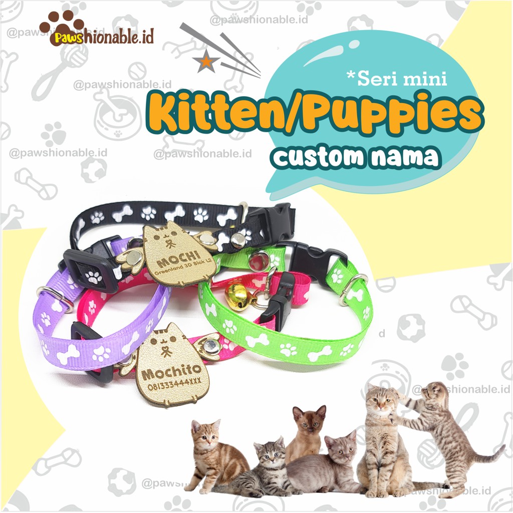 K39 Kalung Kucing Anjing Kecil khusus Kitten Puppies Custom Nama