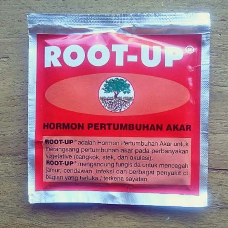 Root-up sachet hormon 10grm