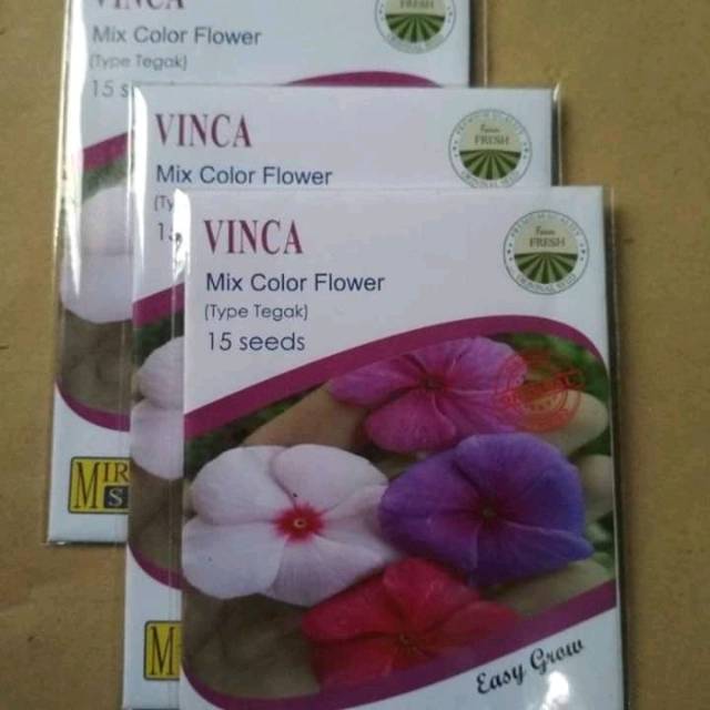 

1 pack vinca mix colour type tegak