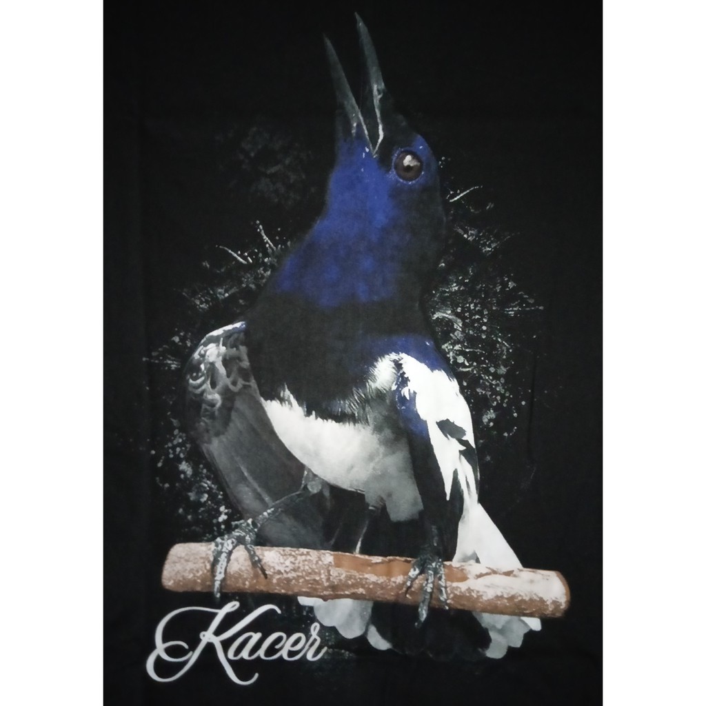 5600 Gambar Kartun Burung Berkicau HD Terbaru