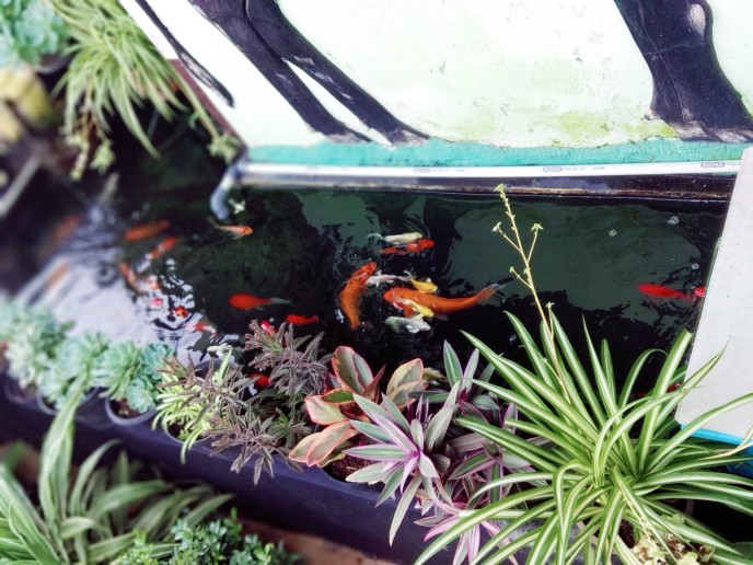 New Arrival Distro Batik Pria  Sogan Hrb026 Batik Notoarto Batik Ipnu-ippnu Hem Pria Bel