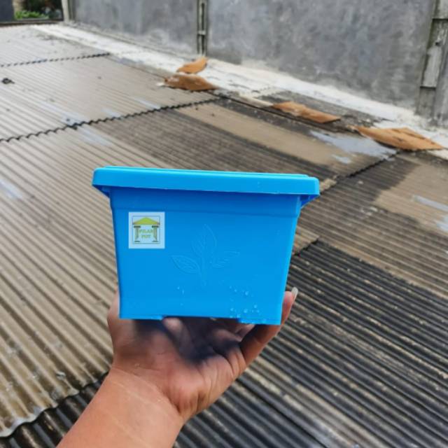 pot bunga tanaman kotak segi hias warna warni 15cm - fullcolour