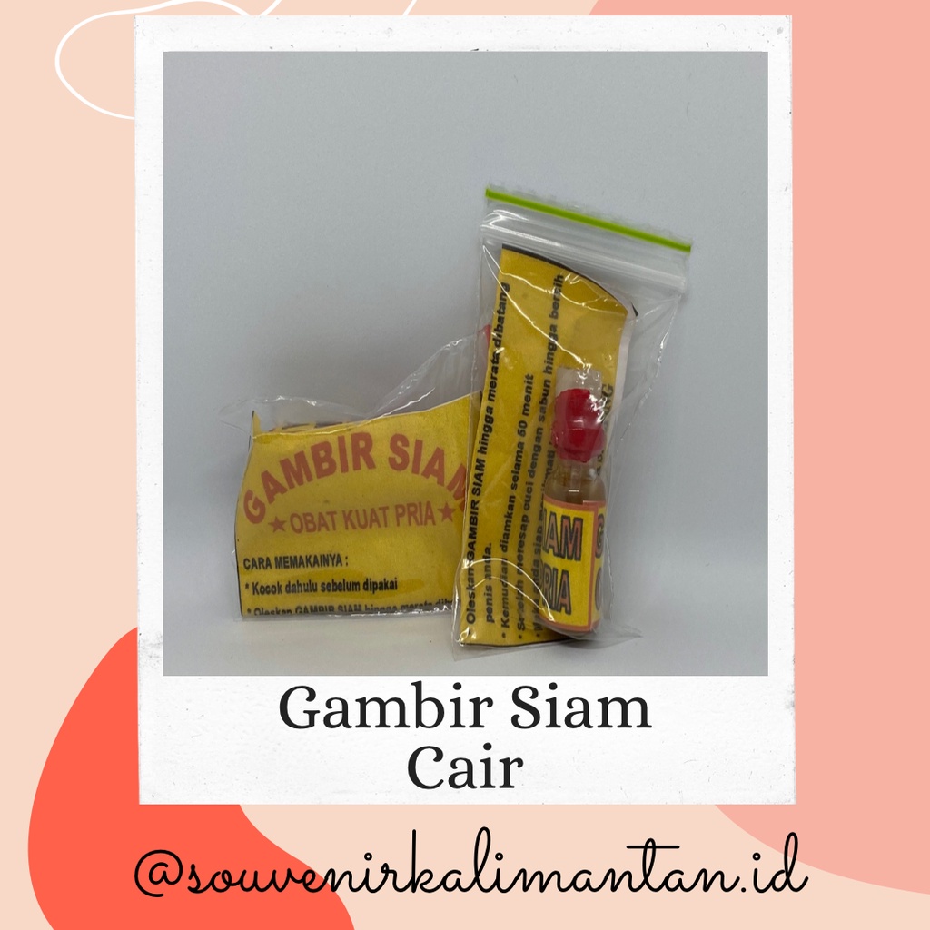 GAMBIR SIAM CAIR ASLI