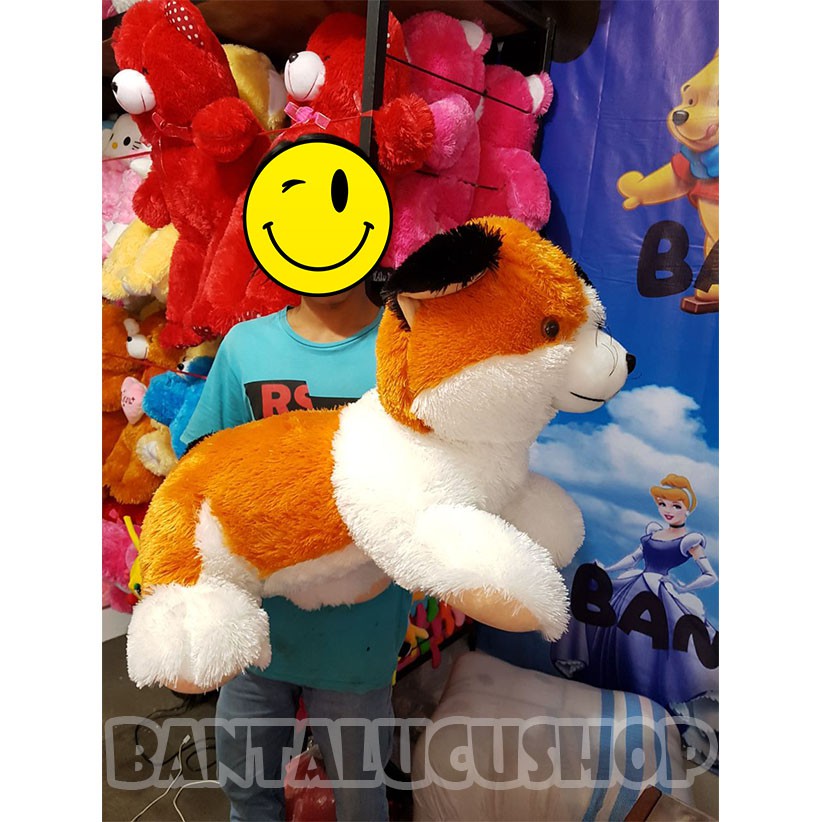 Boneka kucing jumbo