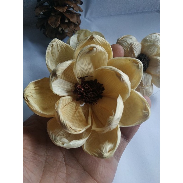 BUNGA KLOBOT JAGUNG / BUNGA HIAS DRIED