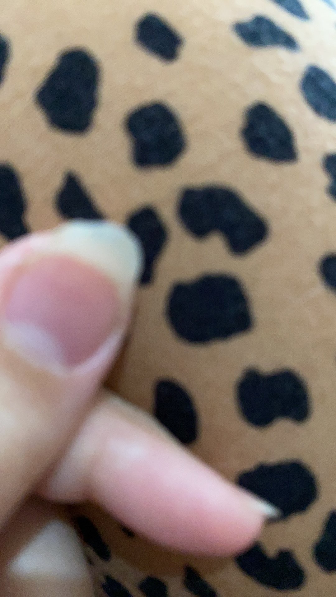 Bukhur Luban Jawi Satu Lusin