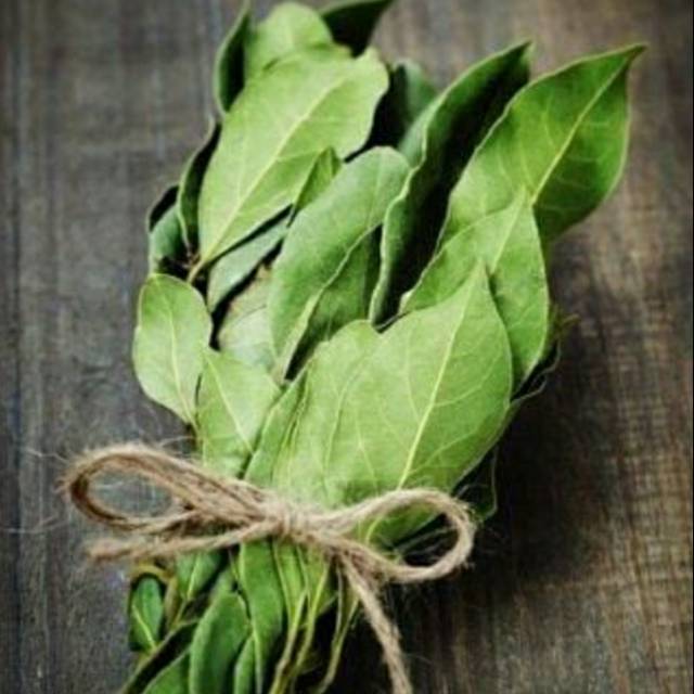 

Daun Salam 1 ikat | Bumbu Dapur Bumbu Rempah | Bumbu Masak Rindu Sayuran Cimahi