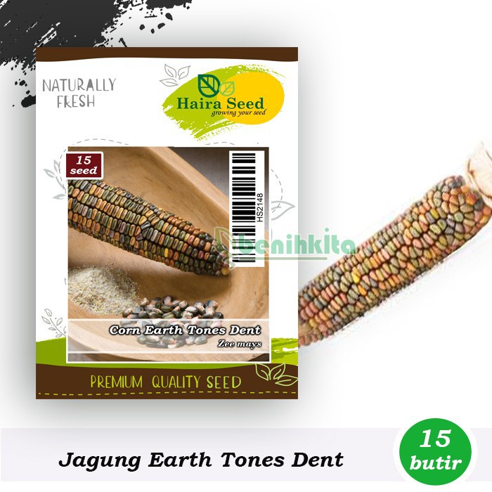 Benih-Bibit Jagung Ornamental Earth Tones Dent (Haira Seed)