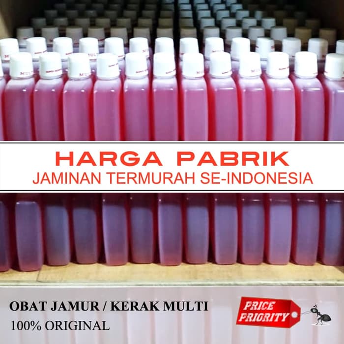 obat jamur kaca mobil AMPUH