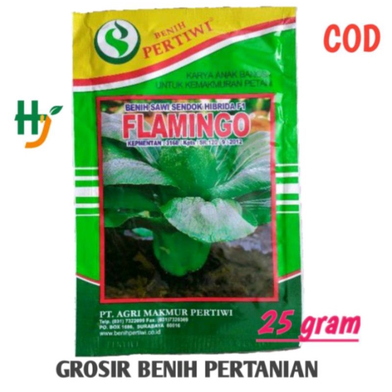 Benih sawi sendok FLAMINGO F1 25 gram PERTIWI sawi daging pakcoy hibrida