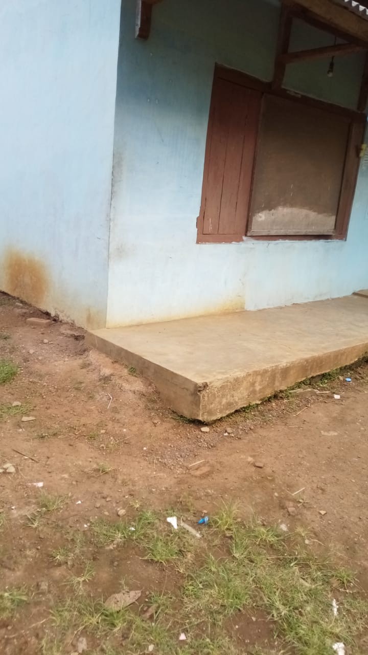 Regent® 50 Sc Red 50ml Insektisida Perlakuan Benih