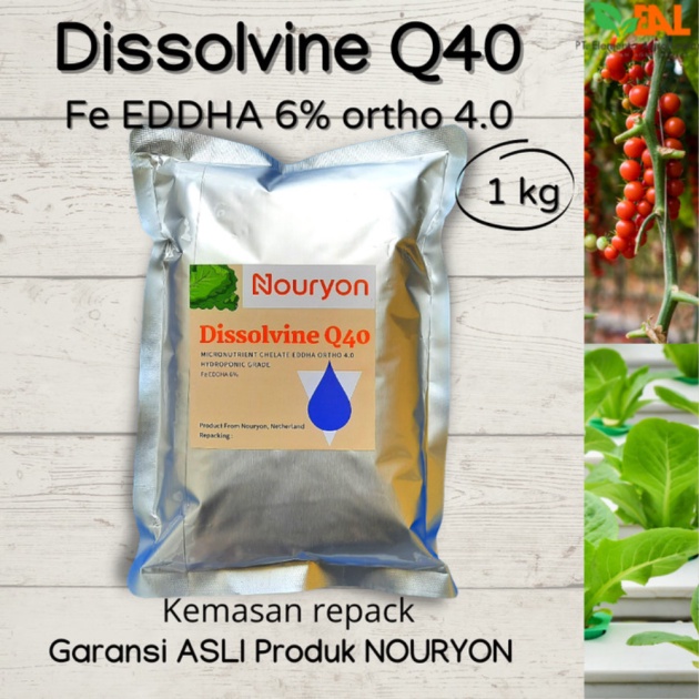 Jual Pupuk Dissolvine Q40 Fe EDDHA 6 ORTHO 4.0 Hidroponik Grade 1 kg Limited