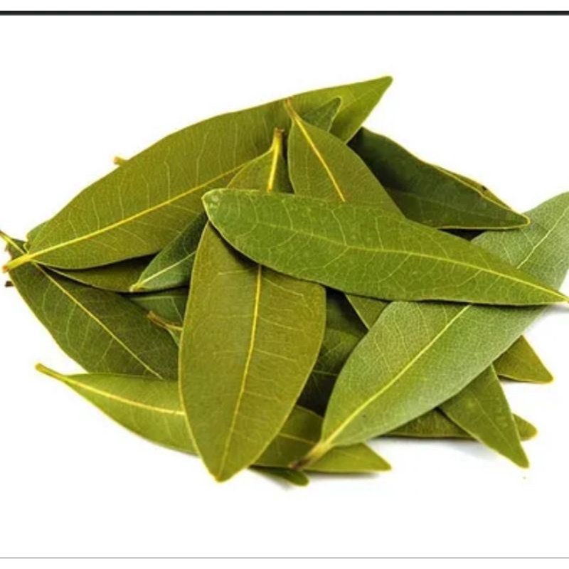 

Daun Salam 100 gr