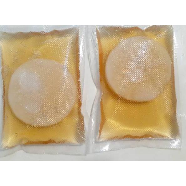 

[MZ8✻] ღ Bibit Scoby Jamur Kombucha ➧ (Stok Banyak)