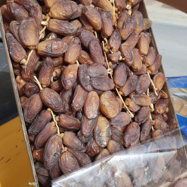 

Kurma tunisia