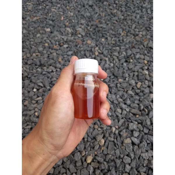 

Madu Hutan Multiflora 50gr