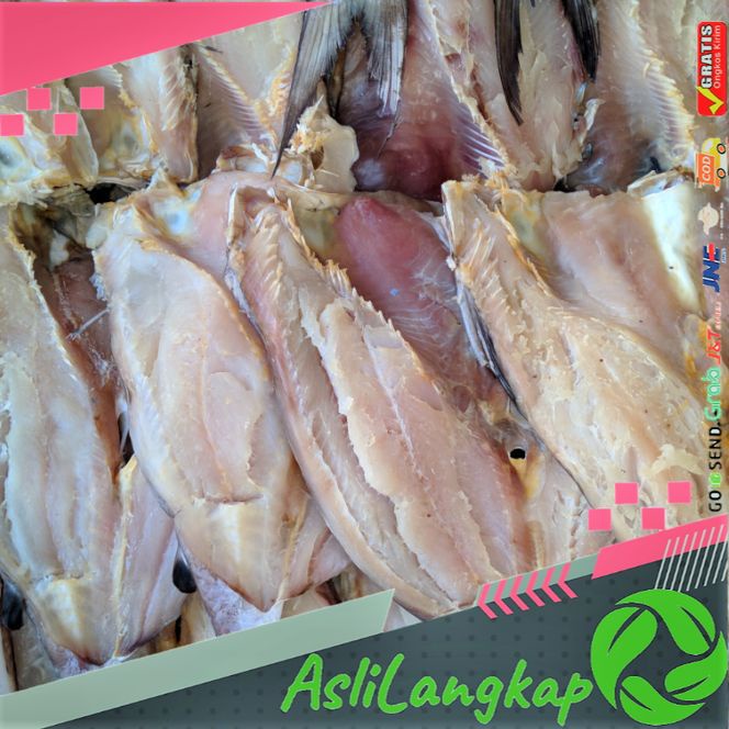 

jambal roti super tanpa kepala