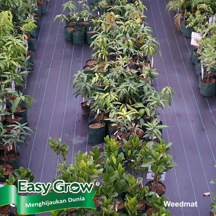 EASY GROW - WEEDMAT CONTROL size 4 x 100 m (ROLL) - terpal pengendali rumput - terpal greenhouse