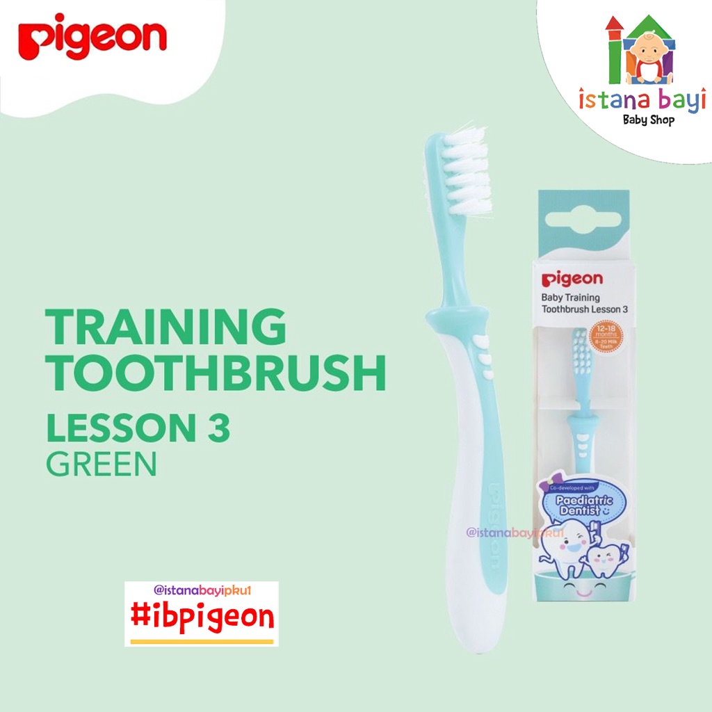 Pigeon Training Toothbrush Lesson - 3 - Sikat Gigi Bayi