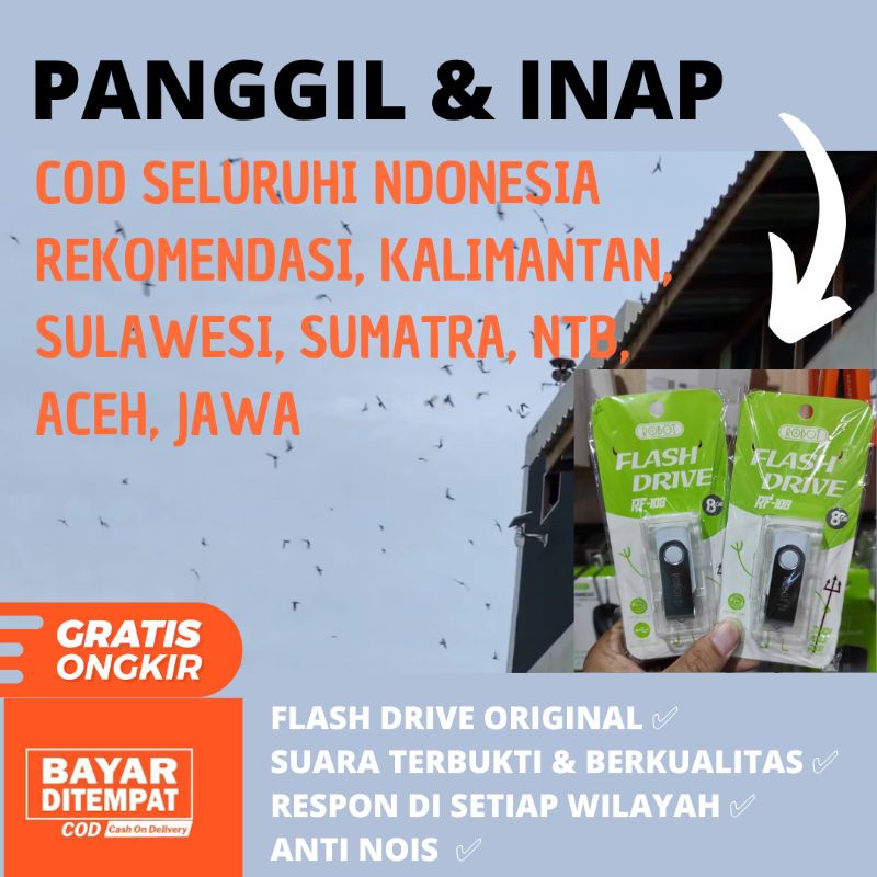 Suara Panggil Burung Walet Terbaik Luar Dalam