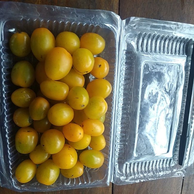 

Buah Tomat Carrie mini kecil manis segar
