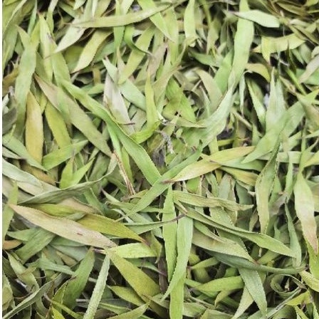 

Daun Kayu Putih Kering