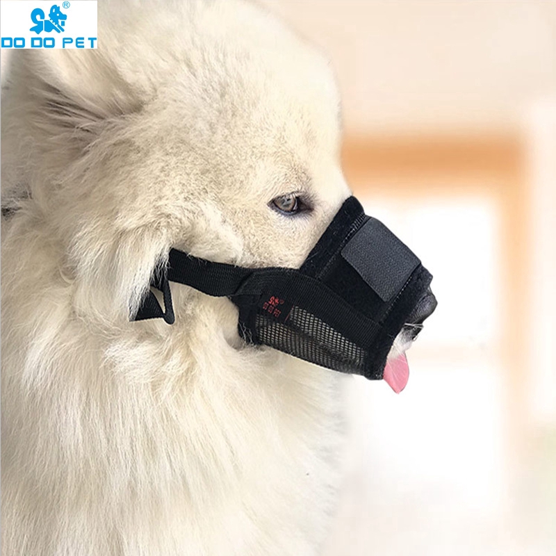 muzzle to stop dog from chewing