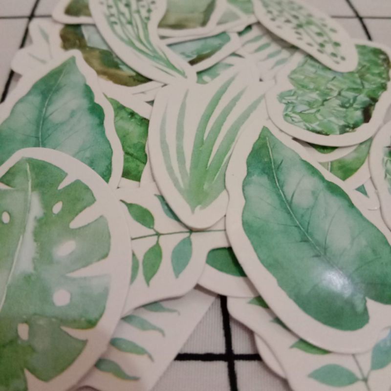 

Deco sticker daun