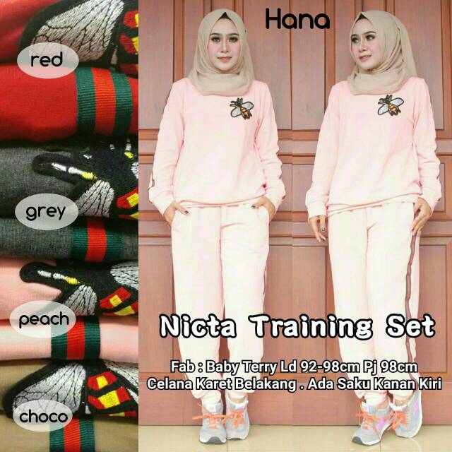 Nicta Training Set