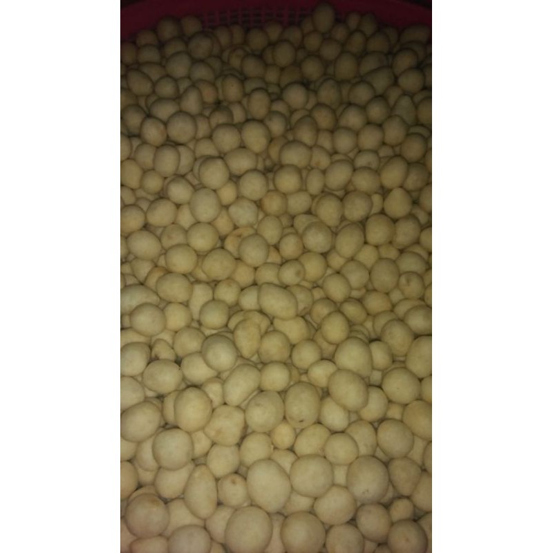 

Kacang Telur, Karoppo_Beppa