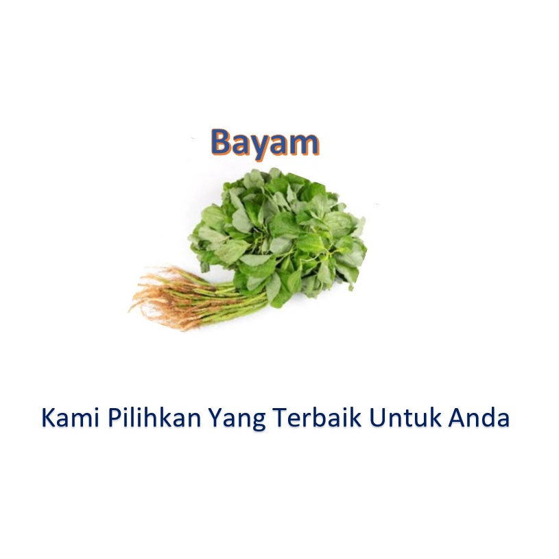 

Bayam / Bayam Segar / Sayur Bumbu