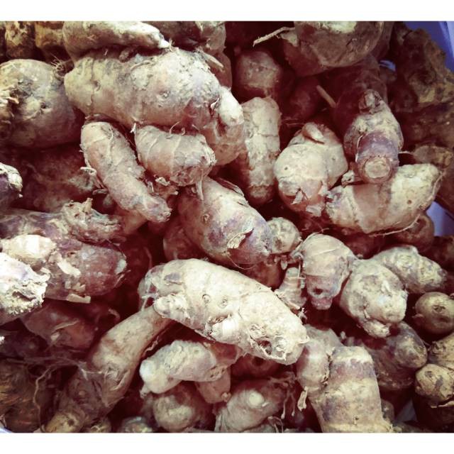 

Kencur 250 gram termurah pasar sayur jimbaran bandungan semarang