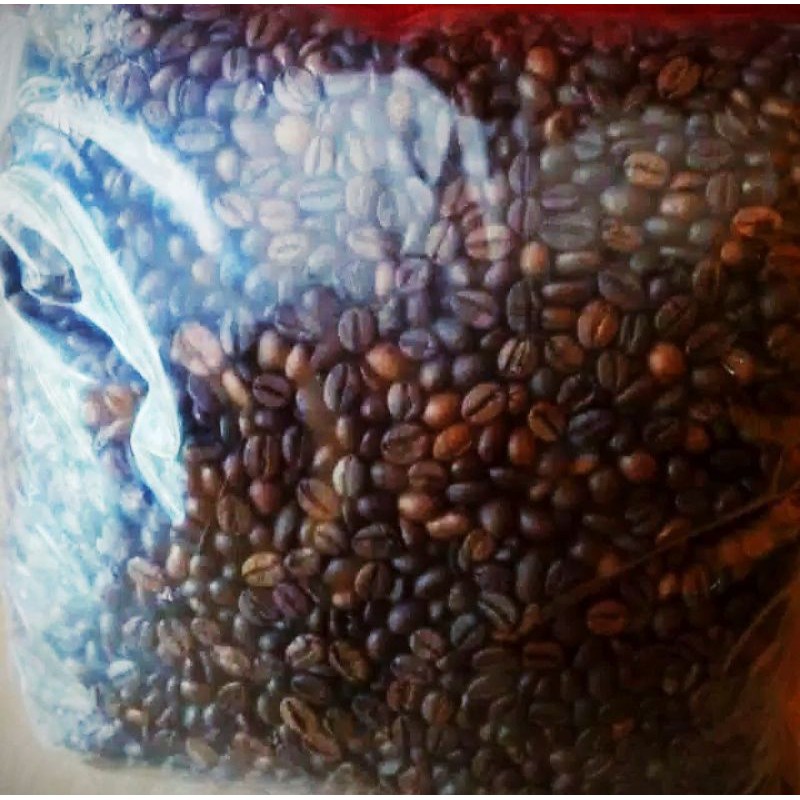 

KOPI ROBUSTA DAMPIT MALANG ROASTBEAN 1kg Grade 1 ( SPO )