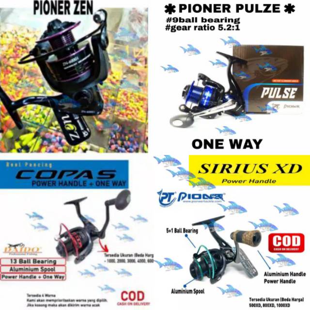 REEL PIONER ZEN 6BB &amp; REEL DAIDO COPAS 13ball bearing