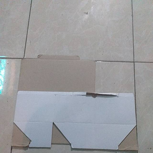 Dus sepatu 31-35/ universal