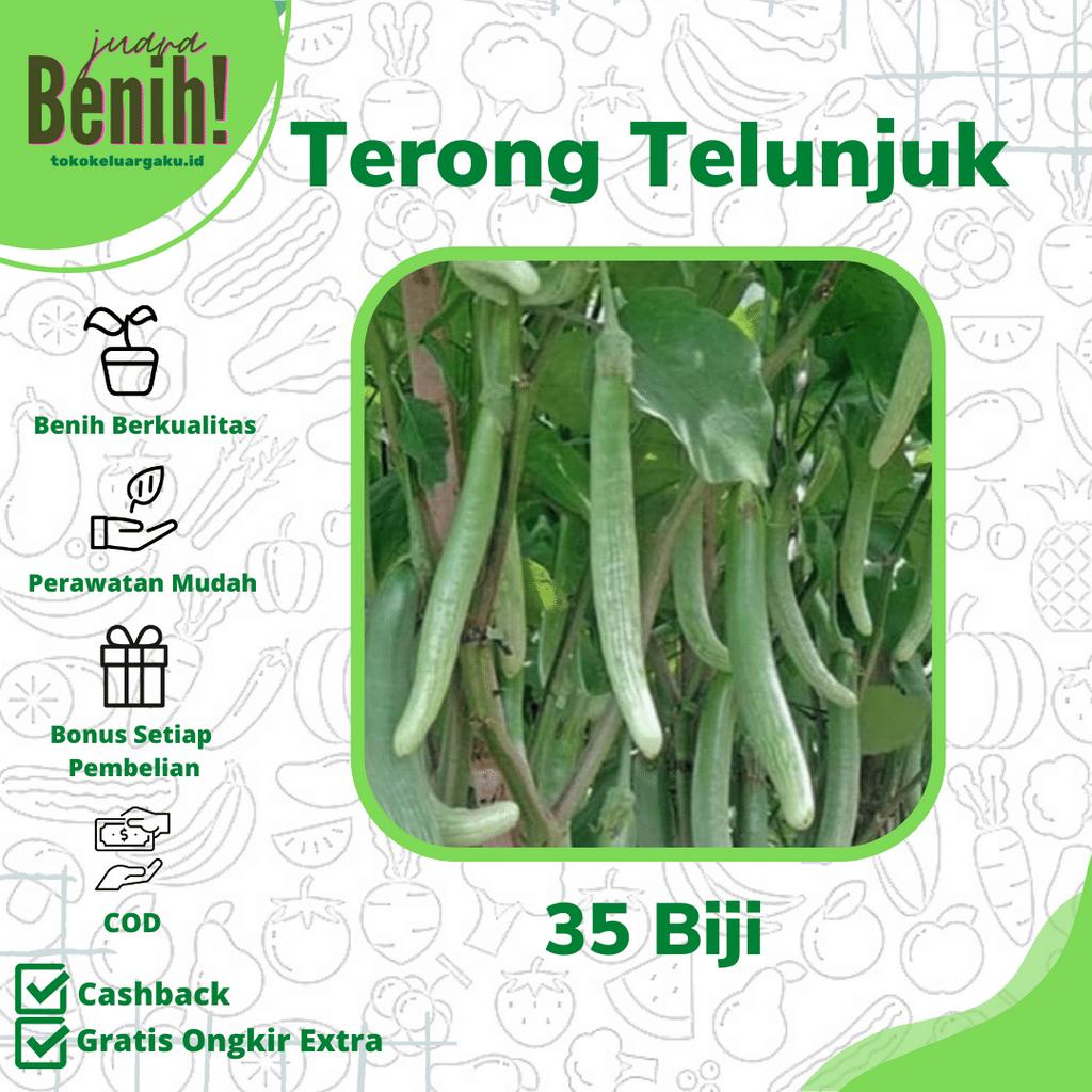 35 Benih Terong Telunjuk Lurik Sayuran Tunjuk Medan Unggul