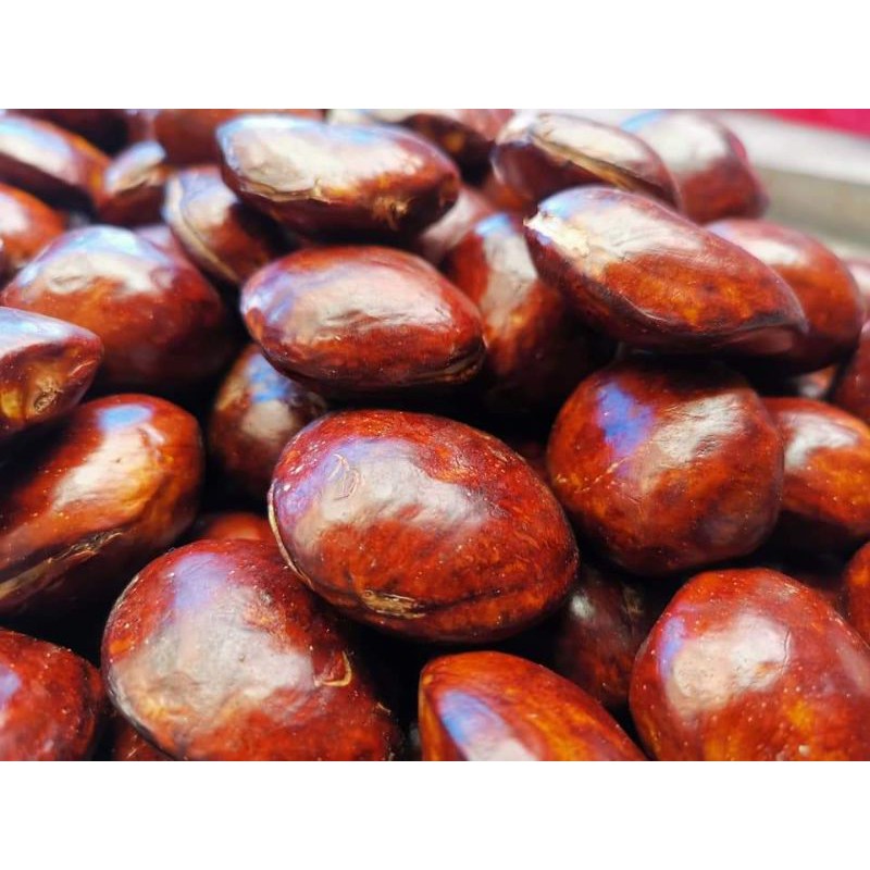 

jengkol