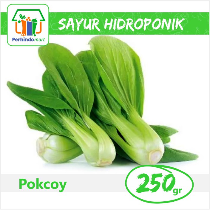 Sawi Pokcoy Hidroponik (Surabaya & Sidoarjo)