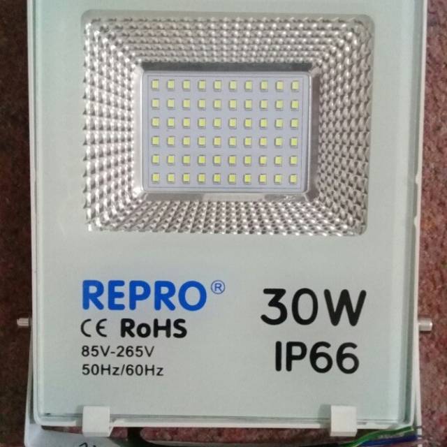 REPRO RAYGUARD FLOODLIGHT IP66 30W