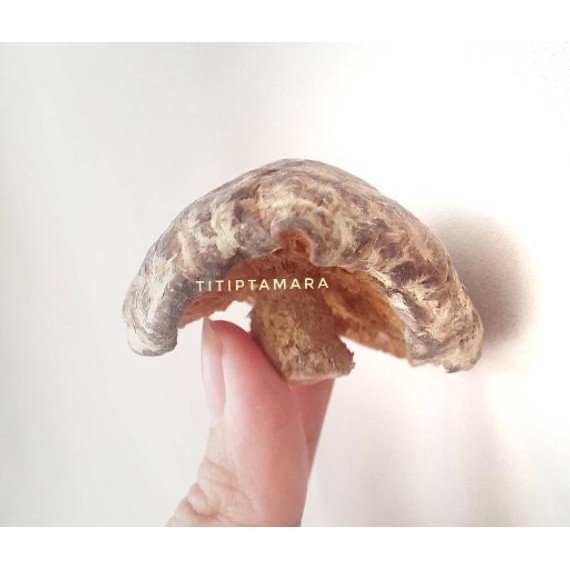 

Hrg Diskon Murah 25Gr Jamur Shitake/Hioko (Rata-Rata 3 Pcs) Bahan Kuah Ramen