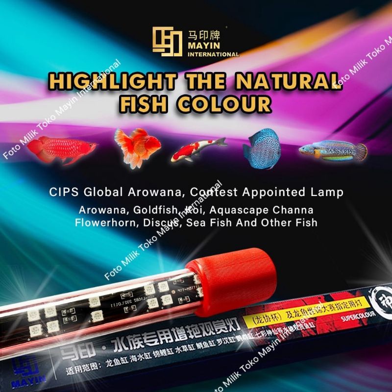 LAMPU MAYIN INTERNASIONAL VIEW LED UNTUK IKAN AROWANA LAMPU  ARWANA LAMPU VIEW LED MAYIN IKAN