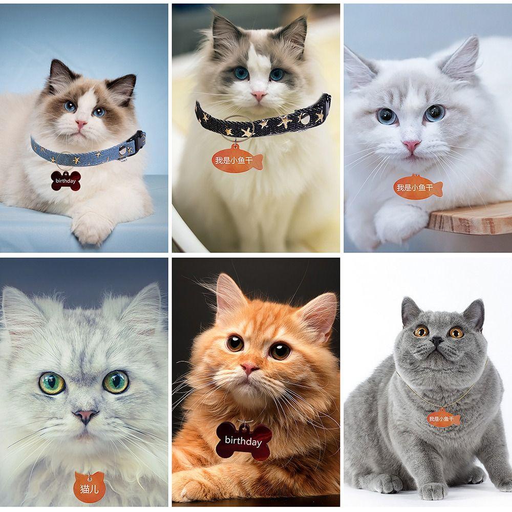 R-FLOWER Tag Gantung Tulang Anjing Art Alat Membuat Perhiasan Perlengkapan Hewan Peliharaan Cetakan Resin Kucing